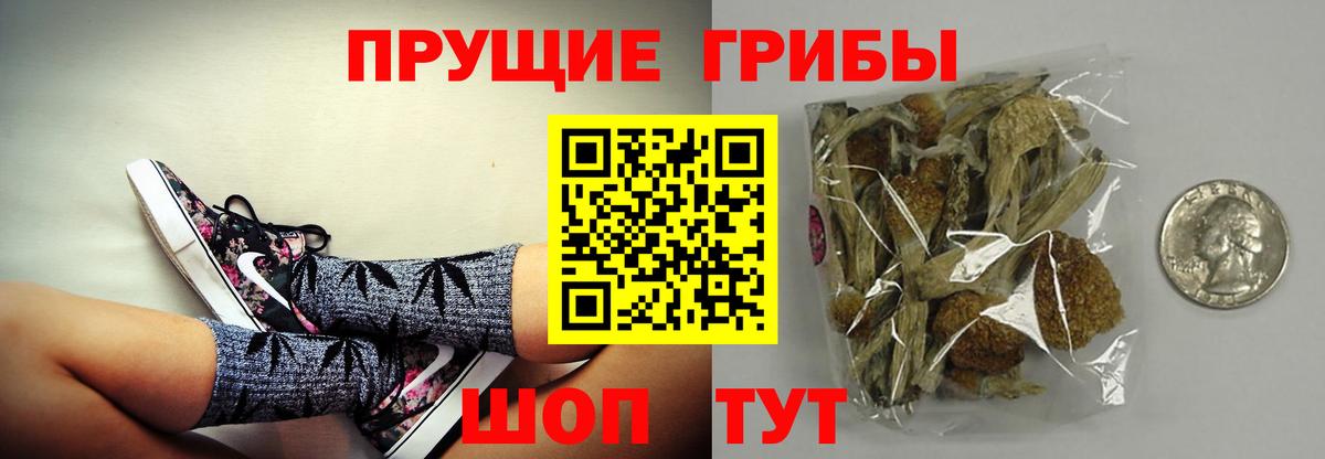 Тара  Галлюциногенные грибы Magic Shrooms  Псилоцибиновые грибы Magic Shrooms  Вход с VPN 